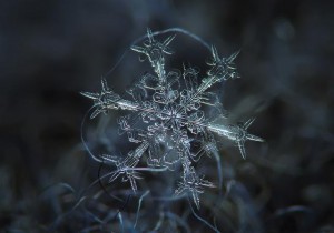 Anatomy of a Snowflake