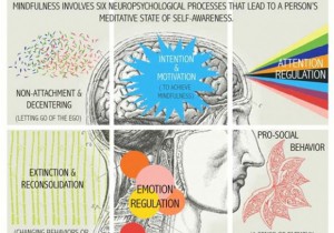 The Science of Mindfulness