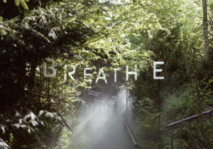 Breathe Earth Collective – Hybrid Forests in Urban Environments