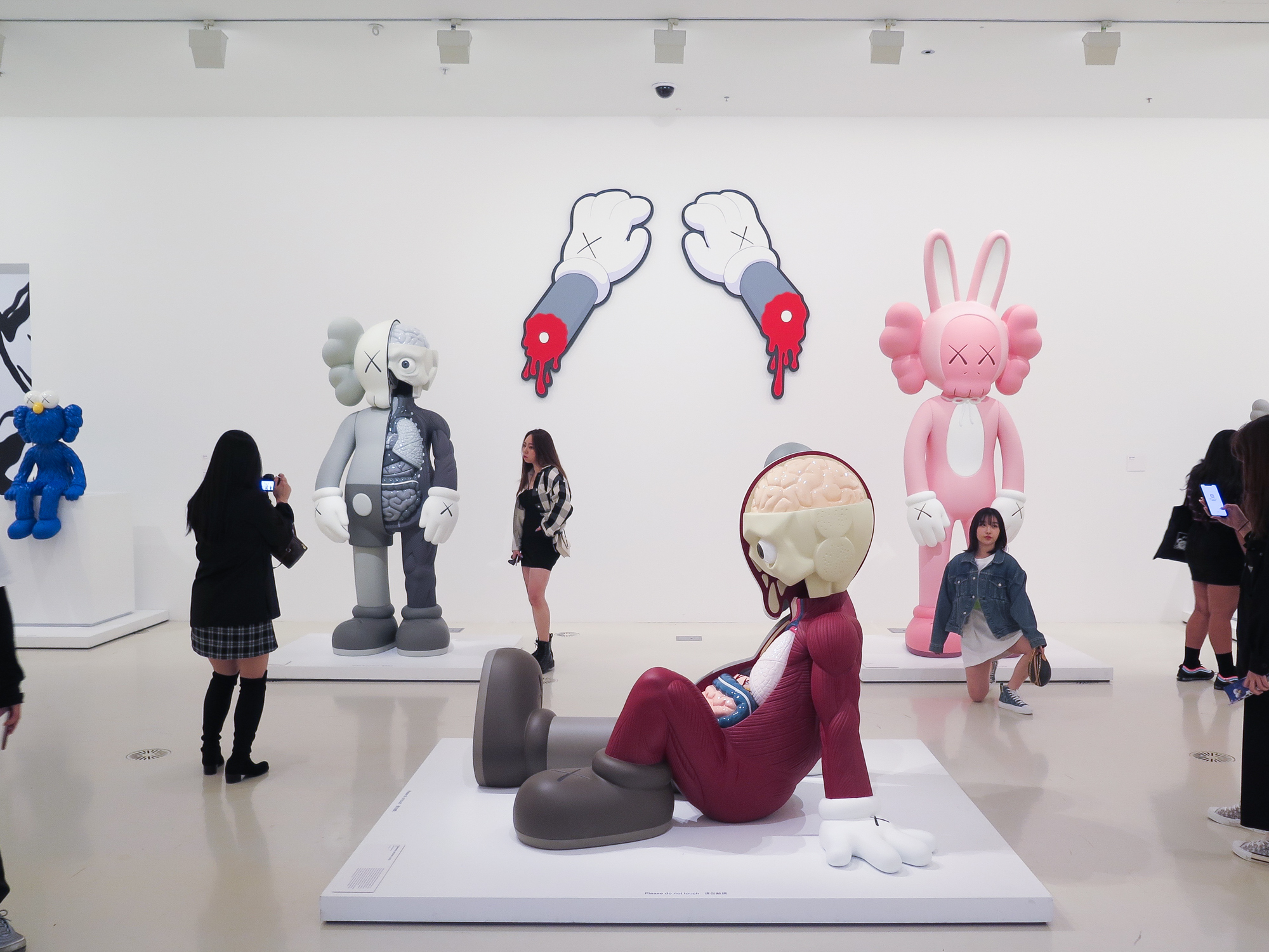 KAWS at NGV by Dean Sunshine